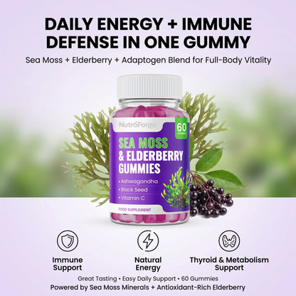 Sea Moss Gummies with Elderberry – Immune Support & Natural Energy, Grape Flavor, 60 Gummies