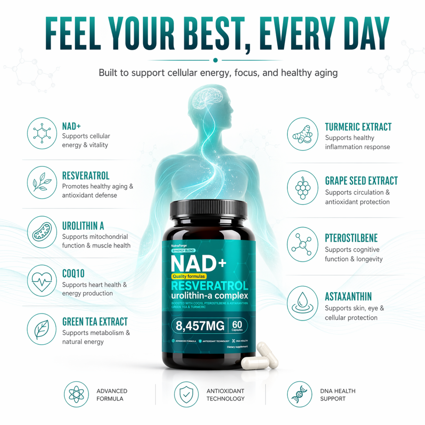 NAD+ Resveratrol Urolithin-A Complex, Advanced Cellular Energy, Focus & Healthy Aging Support, 60 Capsules