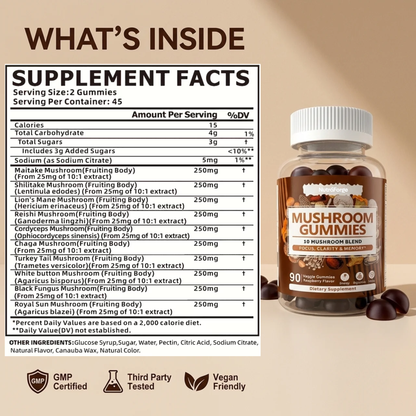 Mushroom Gummies 10 Blend Supplement, Immune Support, Focus, Memory & Energy, Raspberry Flavor, 90 Gummies